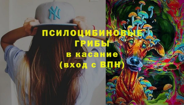 сатива Наволоки