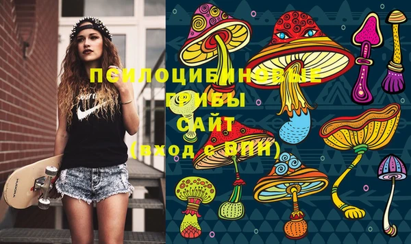 сатива Наволоки