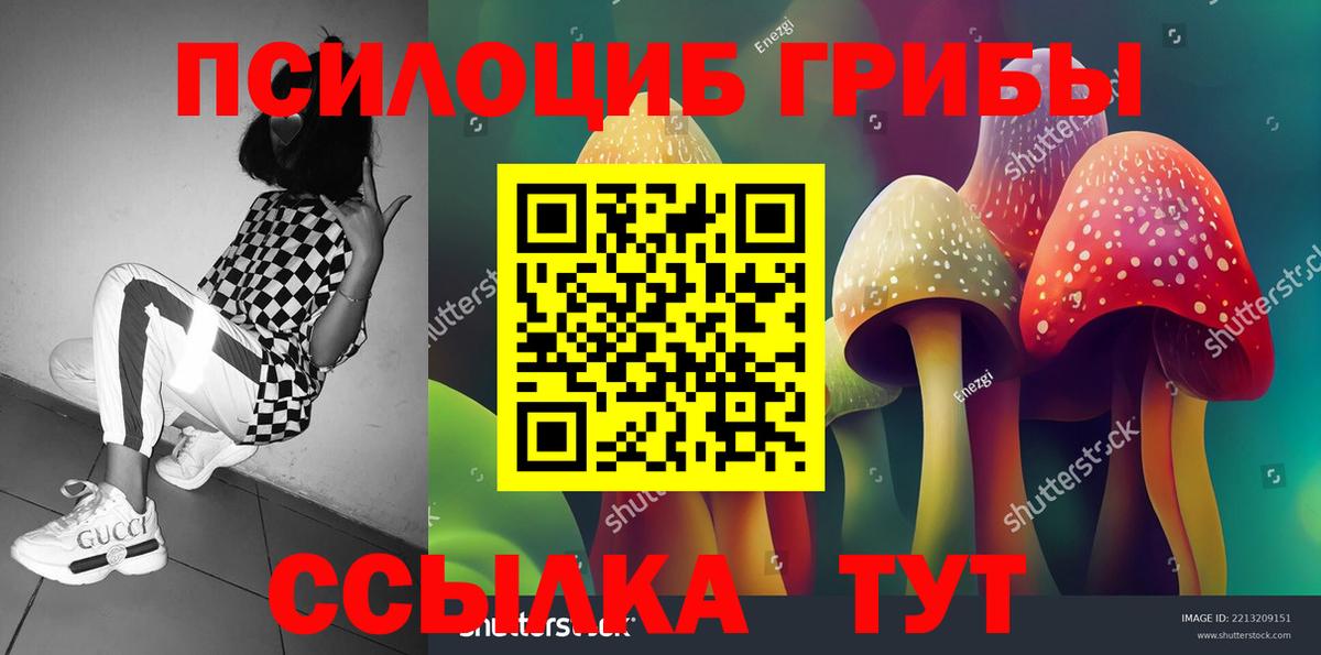 Галлюциногенные грибы MAGIC MUSHROOMS Ессентуки
